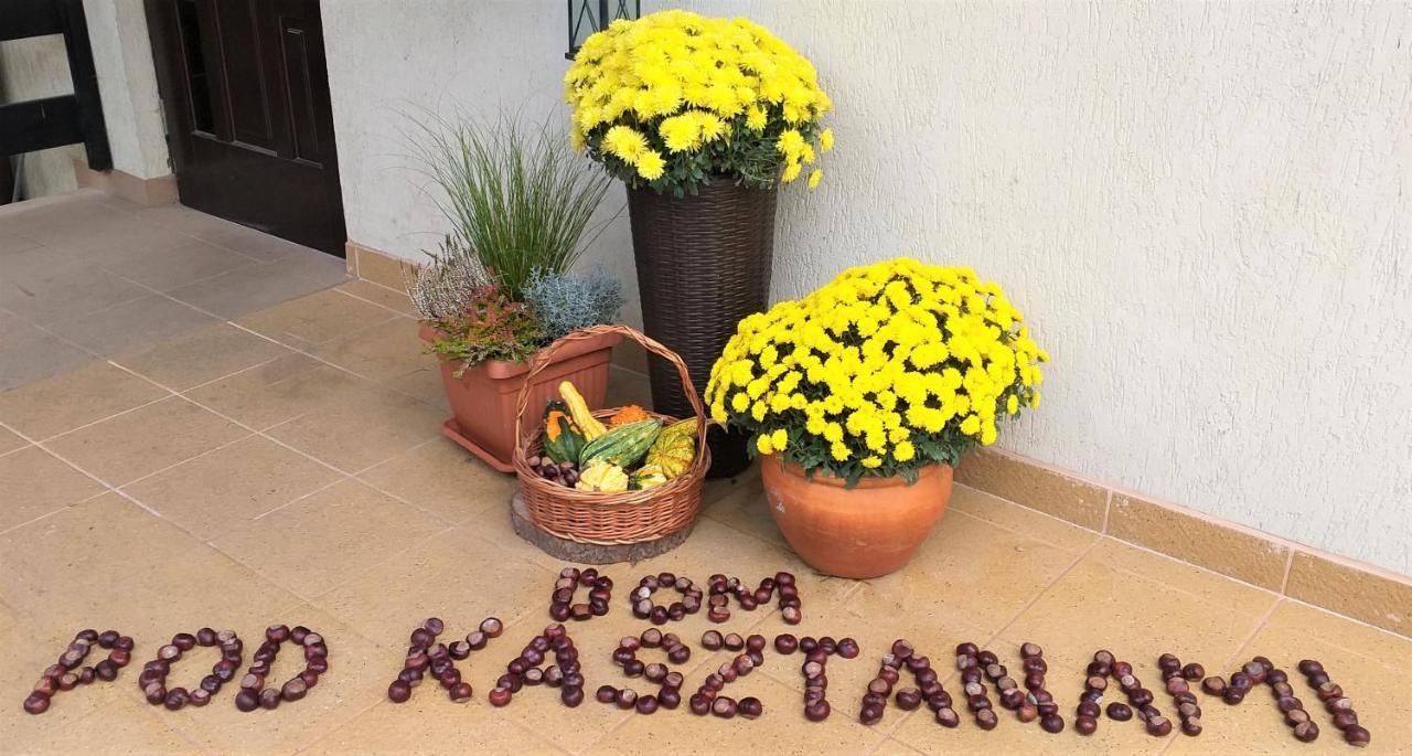 Dom Pod Kasztanami Apartment Kazimierz Dolny Exterior foto